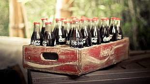 crate of Coca-Cola bottle HD wallpaper
