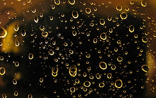 macro photography of dew glass