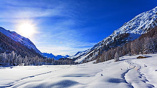 snow field, landscape, nature, mountain pass, cabin HD wallpaper