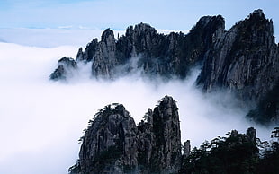 mountains covered with fog, nature