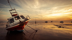 white and red motor boat, boat, sunset, sky, sea