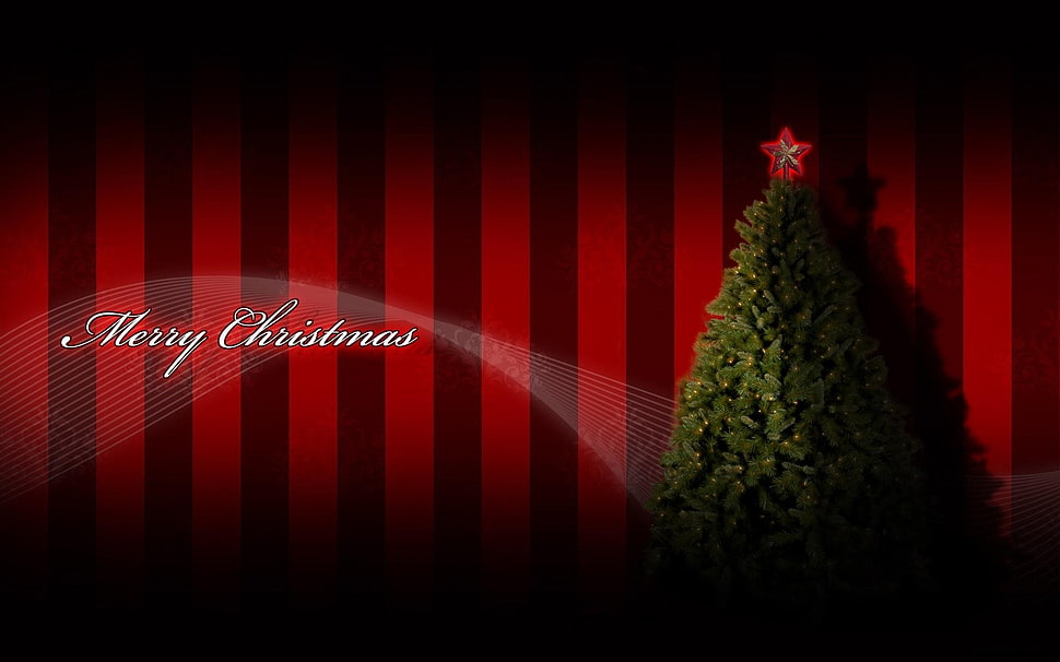 Merry Christmas greetings ptoto HD wallpaper