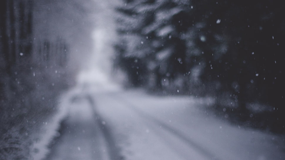 snow covered road during winter HD wallpaper