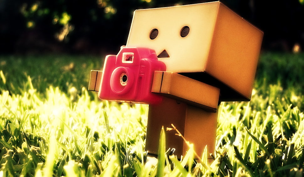 brown box character holding red camera, Danbo HD wallpaper