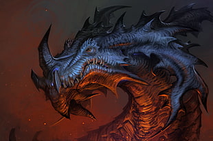 gray dragon illustration