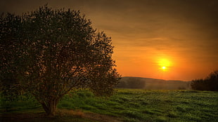 Photo of Sunrise
