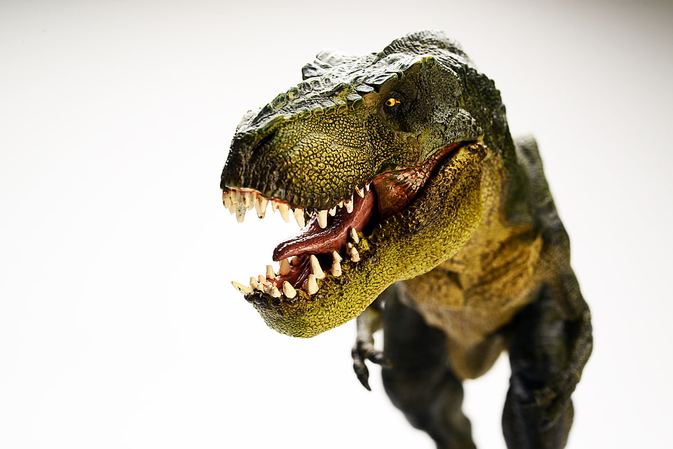 closeup photography of brown and gray T-rex dinosaur HD wallpaper