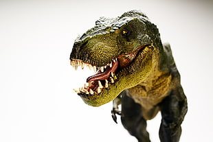 closeup photography of brown and gray T-rex dinosaur