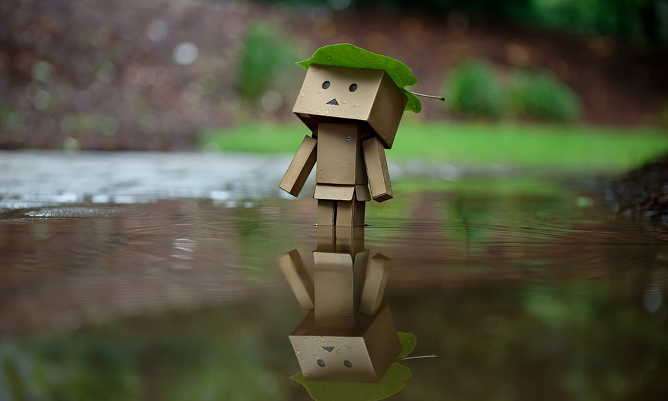 cardboard character illustration, Amazon, Danbo HD wallpaper