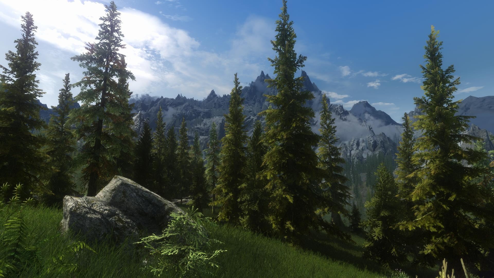 green leafed trees, The Elder Scrolls V: Skyrim, landscape