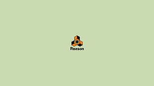 Reason logo, reason, minimalism
