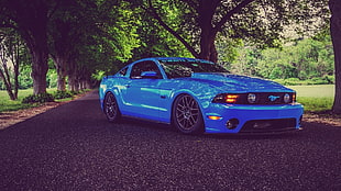 blue Ford Mustang coupe, car, Ford Mustang, blue cars HD wallpaper