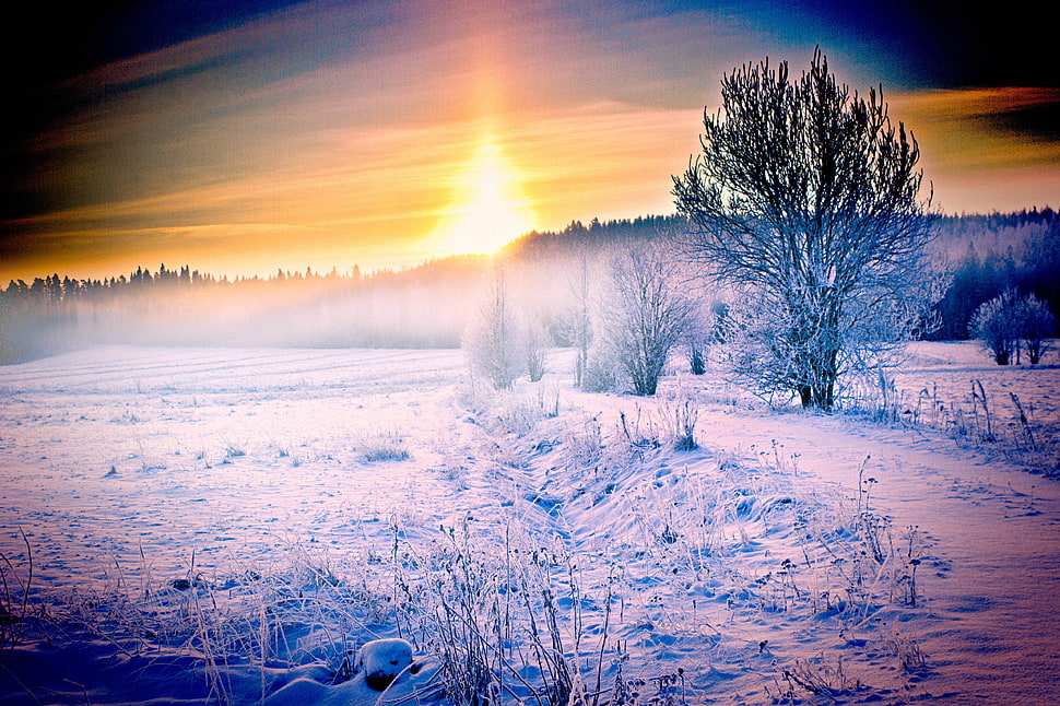 Snow field during sunset HD wallpaper