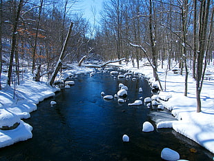 ice melting on river during winter