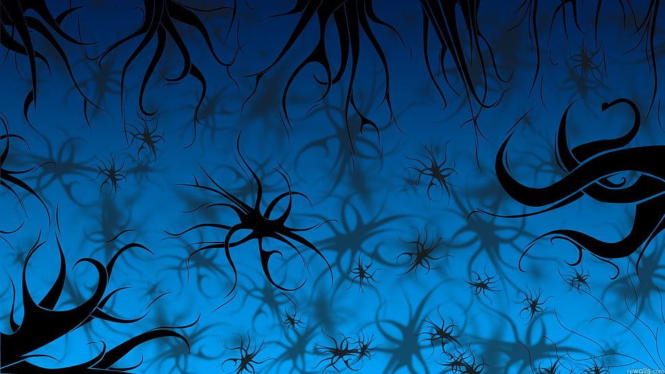 black and blue wallpaper HD wallpaper