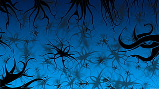 black and blue wallpaper