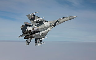 gray and black war jet, Sukhoi Su-35, aircraft, military aircraft, military