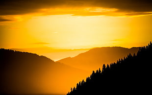 silhouette of trees and mountain during golden hour