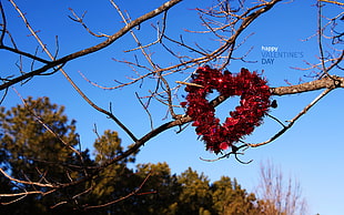 red flower accent heart wreath hanged on tree branch