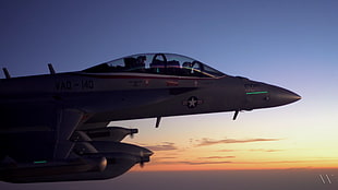 gray fighter plane, Boeing EA-18G Growler, Boeing E/A-18G Growler, United States Navy, USN VAQ-140 504 Patriots