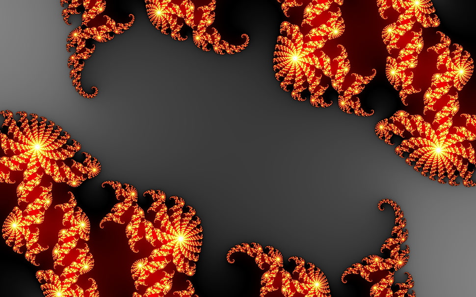 brown multicolored decors HD wallpaper