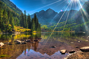 body of water between tall trees in daytime photo, maroon bells HD wallpaper