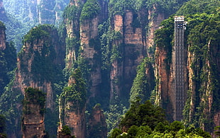 landscape photography of green cliff mountain