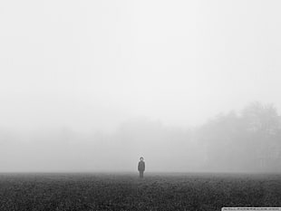 black long-sleeved top and black pants, mist, nature, loneliness, spooky HD wallpaper