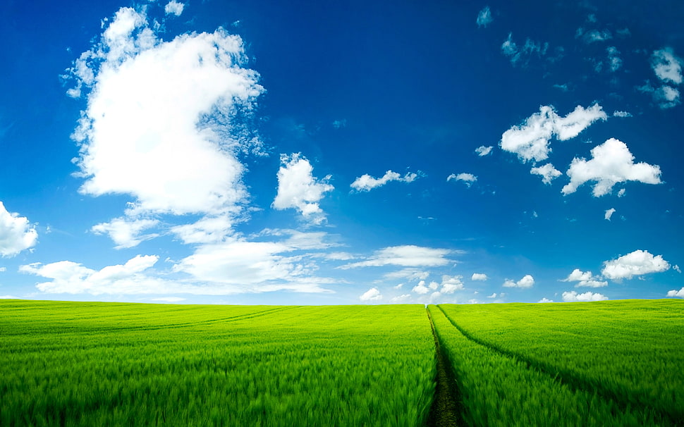 landscape photo of a green field under cloudy sky HD wallpaper