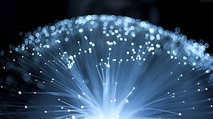 closeup photo of fiber optics