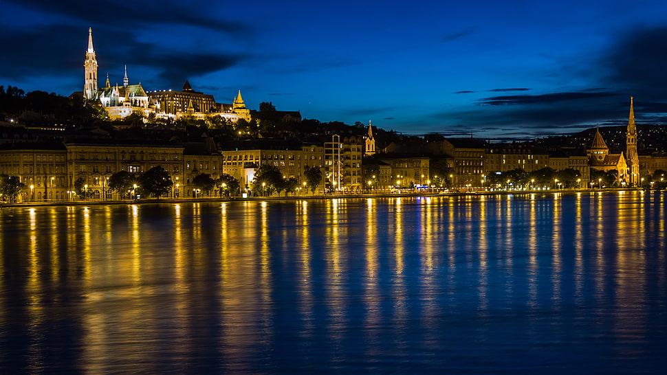 cityescape photo during night time HD wallpaper