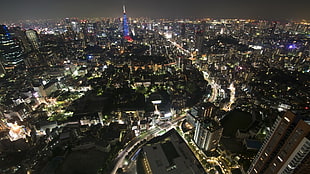 high angle photo of city buildings during nighttime