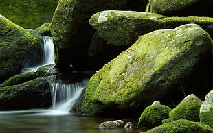 water fall with green rocks, nature, landscape, waterfall, rock HD wallpaper