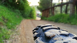 macro shot photography of vehicle tire, mountain bikes, road, nature