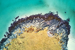 aerial photography of island, nature, water, beach