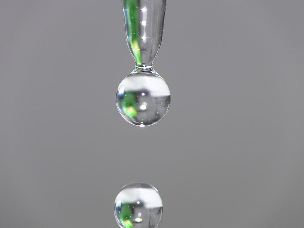 close up photography of water droplet HD wallpaper