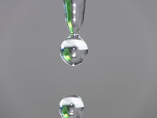 close up photography of water droplet
