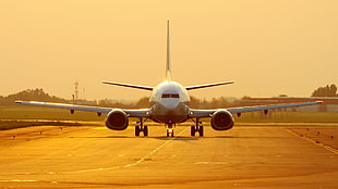 white and brown plane, airplane, Boeing 737, Lufthansa, passenger aircraft HD wallpaper
