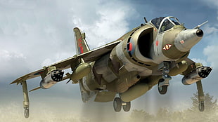 green and gray fighting jet, aircraft, Harrier Jump Jet, military aircraft, AV-8B Harrier II