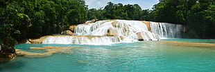 waterfalls and green tree lot, agua azul, Chiapas, Mexico, panorama HD wallpaper
