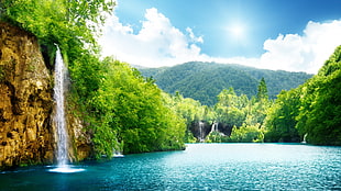 waterfalls and green leaf trees with mountain background