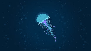 blue jelly fish illustration