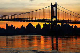 silhouette of golden gate bridge during golden hour HD wallpaper