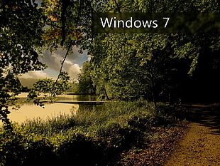 brown wooden dock, window, landscape, Windows 7 HD wallpaper