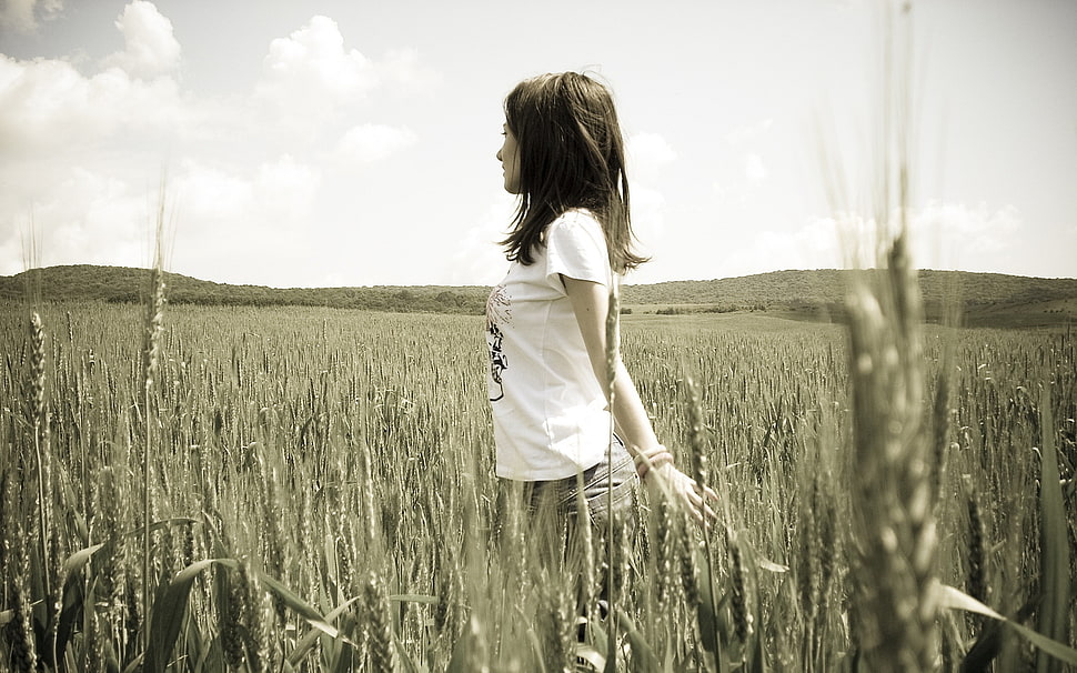 woman in white crew-neck shirt standing on wheat field during daytime HD wallpaper