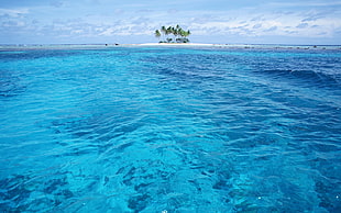 islet, sea, nature, water, island