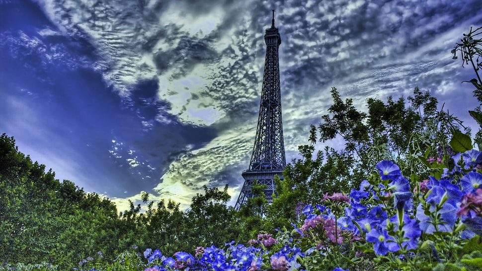 Eiffel Tower surrounded by flowers during blue sky HD wallpaper