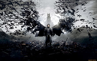 Batman The Dark Knight poster, Dracula, Dracula Untold, movies, vampires HD wallpaper