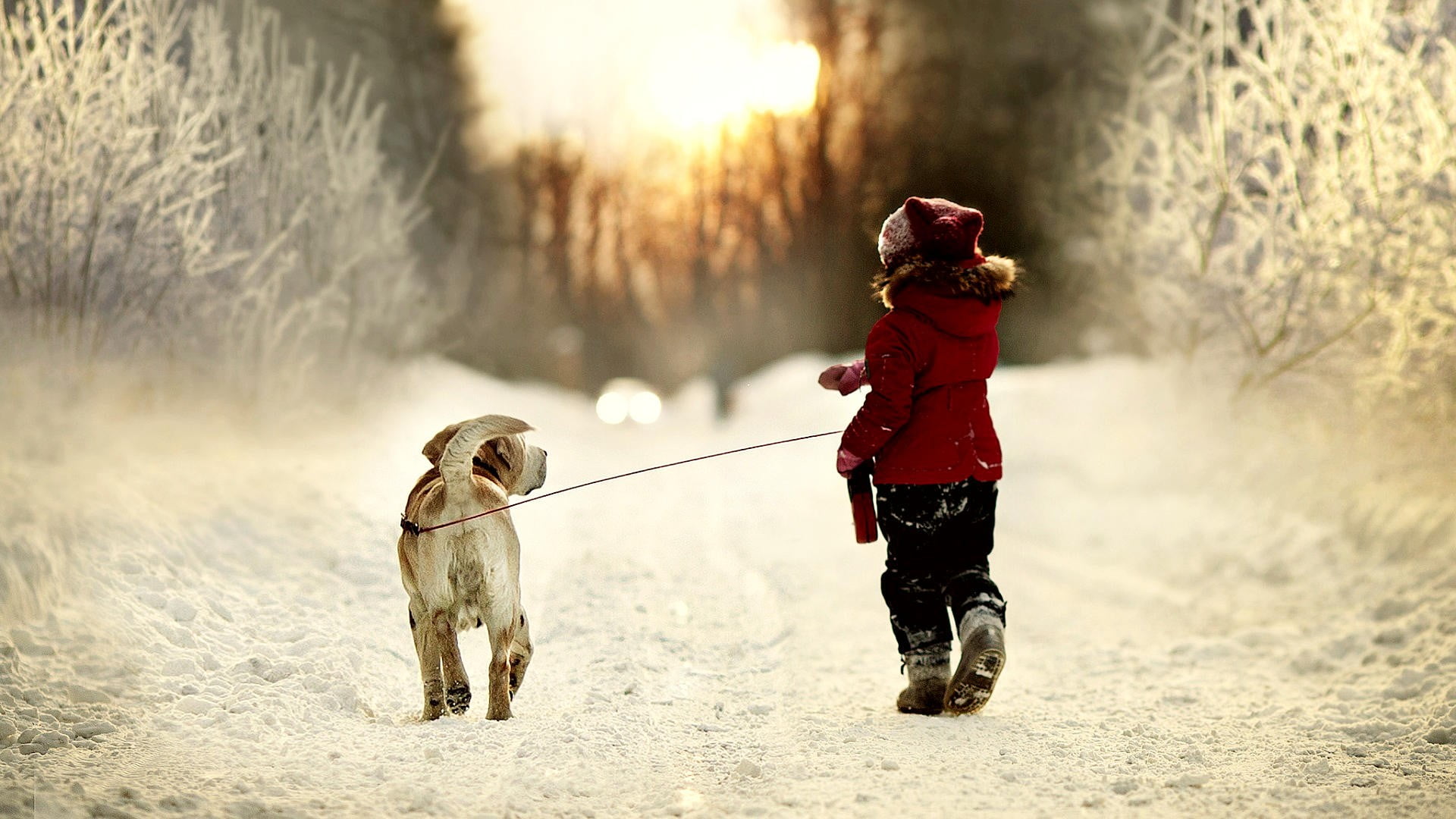 girl in red jacket walking with dog on snow field during daytime