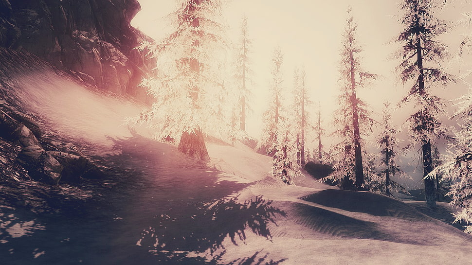 pine trees, video games, The Elder Scrolls V: Skyrim HD wallpaper